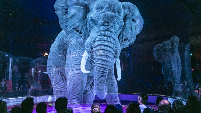 В немецком цирке отказались от использования животных и заменили их голограммами