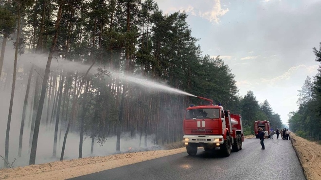 На Луганщині вирує масштабна лісова пожежа, яка досягла житлових будинків. Мешканців двох селищ евакуюють