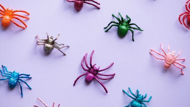 В Англии пауки год пугали жителей города колыбельной из фильмов ужасов