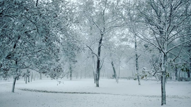 В первый день зимы в Украине выпало до 23 сантиметров снега. Ожидается ухудшение погоды