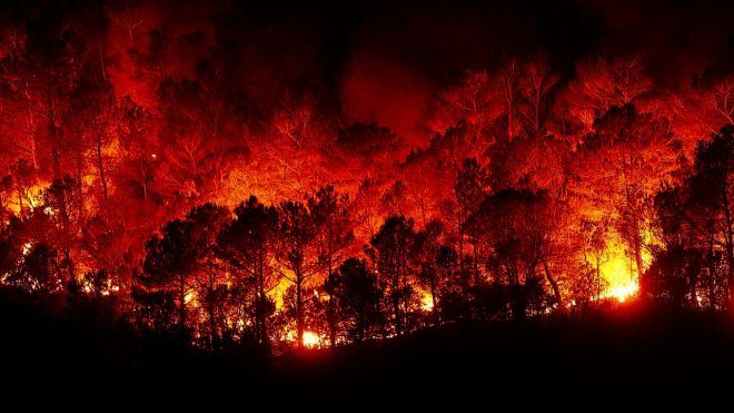 В Греции возросло число жертв лесных пожаров. Стало известно об украинцах