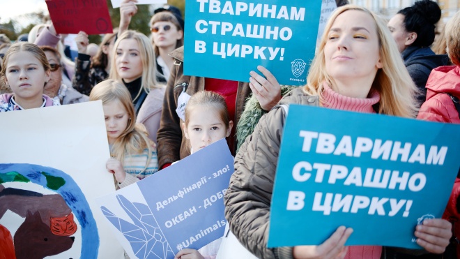 «Україна не перша країна, яка проходить цей шлях». Кабмін схвалив заборону використання диких тварин у цирках