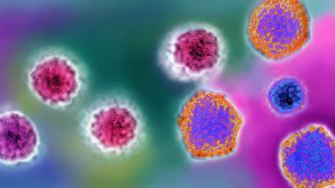 Від коронавірусу гинуть тисячі людей, та чи означає це, що всі віруси небезпечні? Насправді ні. Деякі з них сприяють еволюції та навіть рятують людські життя ― переказуємо статтю BBC