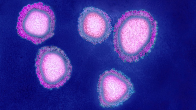 Глобальне опитування: Більшість людей готові зробити щеплення від коронавірусу, щойно з’явиться вакцина