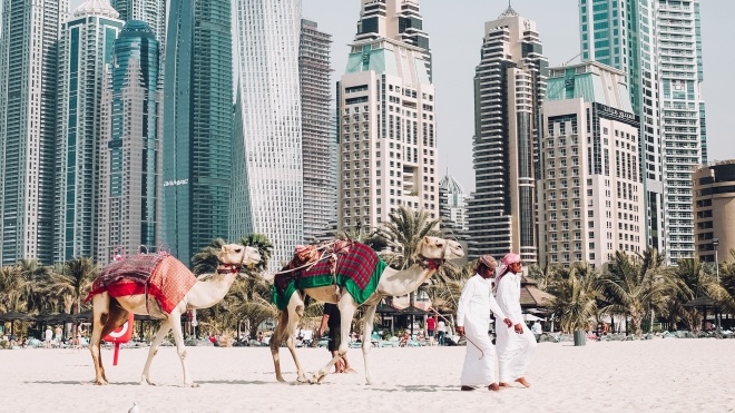 В ОАЭ полиция будет патрулировать особо опасные улицы на верблюдах