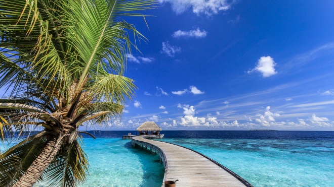 На Мальдивах застряли около 500 туристов. Часть из них живут на островах бесплатно