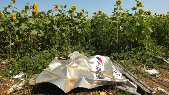 Суд по MH17: следователи представили данные с радаров и спутников, а также рассказали о других вероятных причинах катастрофы