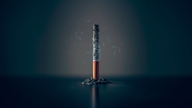 «Щеплення» від куріння пройшло випробування. Учені позбавили піддослідних щурів звички до нікотину