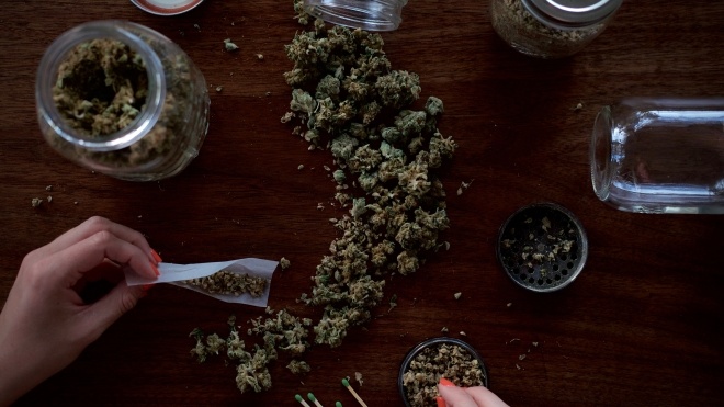 У Новій Зеландії легалізували марихуану в медичних цілях. Її будуть відпускати в аптеках за рецептом