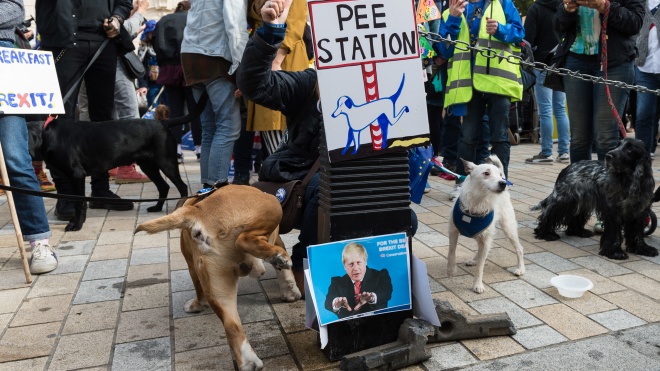 Сотні собак пройшли центром Лондона на знак протесту проти Brexit. Фотографія
