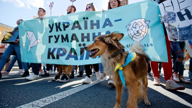«Я тобі не шуба». У Києві відбувся марш за права тварин. Фоторепортаж