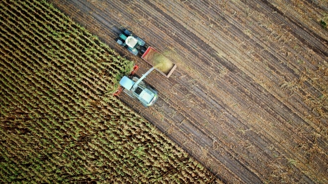 Экс-министр Дубилет и агрокомпания ИМК запускают онлайн-платформу по продаже земли. Рынок заработает с 1 июля