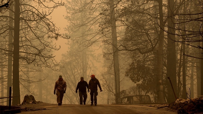 Трамп пригрозил перестать выделять деньги на борьбу с лесными пожарами в Калифорнии