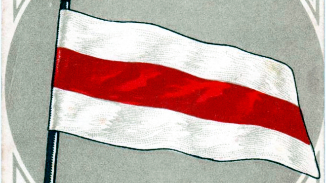 В Беларуси оштрафовали свадебный кортеж с запрещенными национальными флагами и оппозиционными наклейками