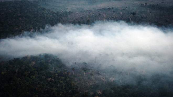 Палаючі ліси Амазонії почали гасити з літаків. В операції задіяні 40 тисяч військових
