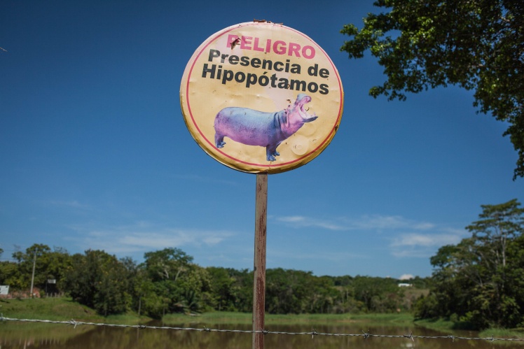 Знак, предупреждающий об опасности бегемотов, возле Hacienda Napoles, 18 августа 2019 года.