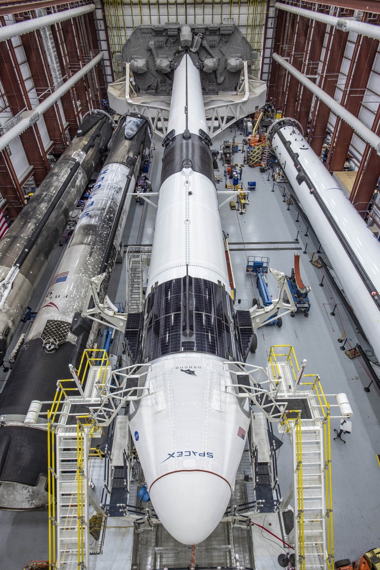 Космический корабль Crew Dragon и ракета-носитель Falcon 9, которая выведет его на орбиту.