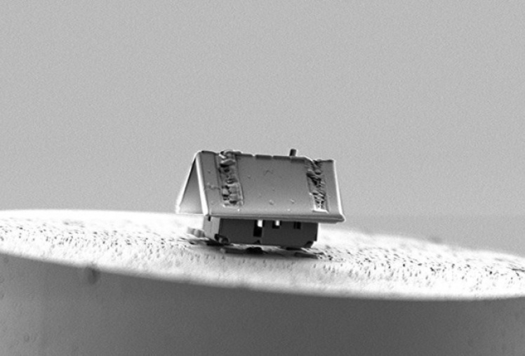 Мікроскопічний будинок. В компанія Femto-ST (Безансон, Франція), використовуючи іонний промінь крихітного маневреного робота і систему упорскування газу, зуміли побудувати будинок з кремнезему довжиною в 20 мікрометрів.
