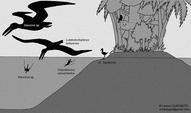 Учені не знають, яке забарвлення було у птахів, тому Леонід зобразив їхні силуети.