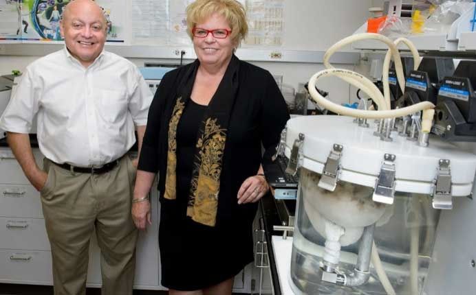 «Мы смогли создать гораздо лучшую сосудистую систему в легких, раньше этого не удавалось», - заявили доктор Николс и доктор Кортьелла