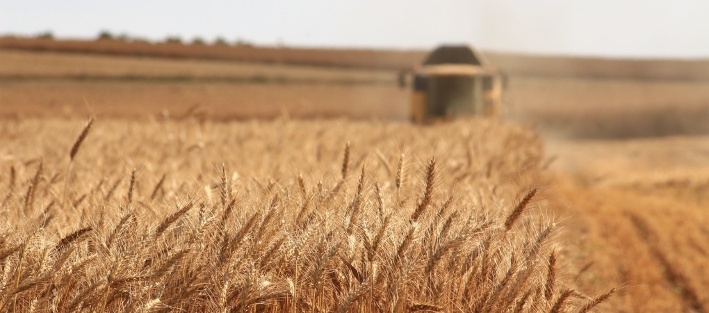 ЗМІ: Туреччина та росія домовилися про переговори за участі України про вивіз зерна