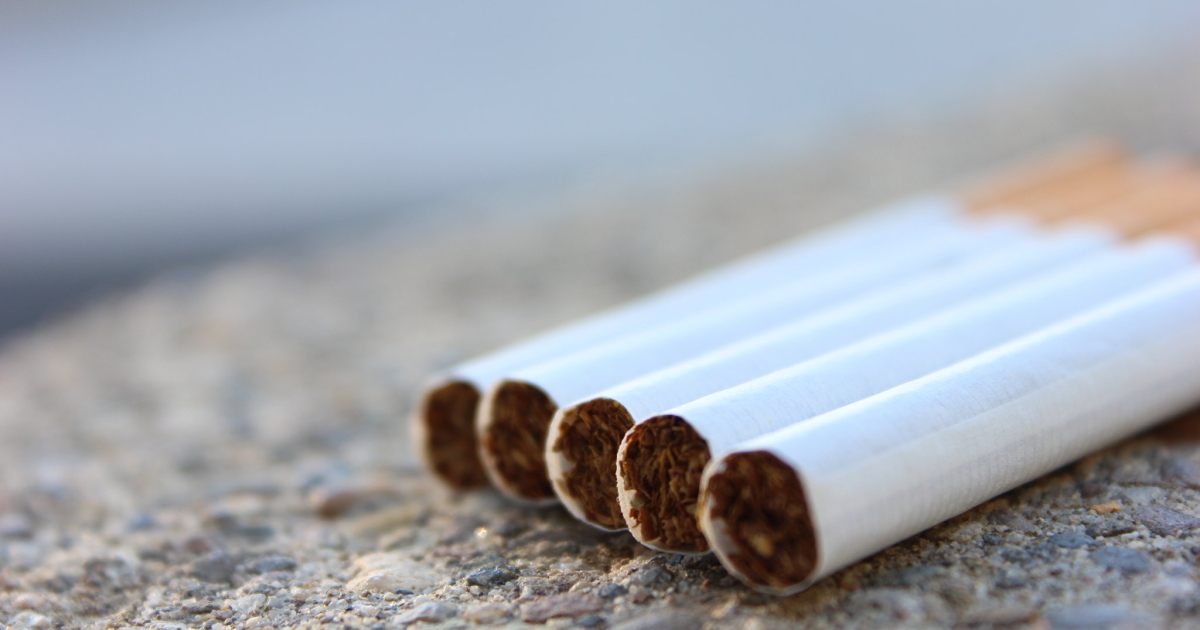 where does the tobacco come from The Searing Beauty, and Harsh Reality, of a Kentucky Tobacco Harvest