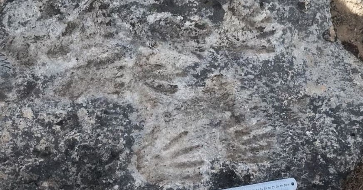 Нашли доисторическую девушку 40 миллионов лет. Отпечатки которым больше 1000 лет. Возраст отпечатков в угольной породе. Следы похожие на человеческие в Узбекистане. Следы животных похожие на человеческую ногу.