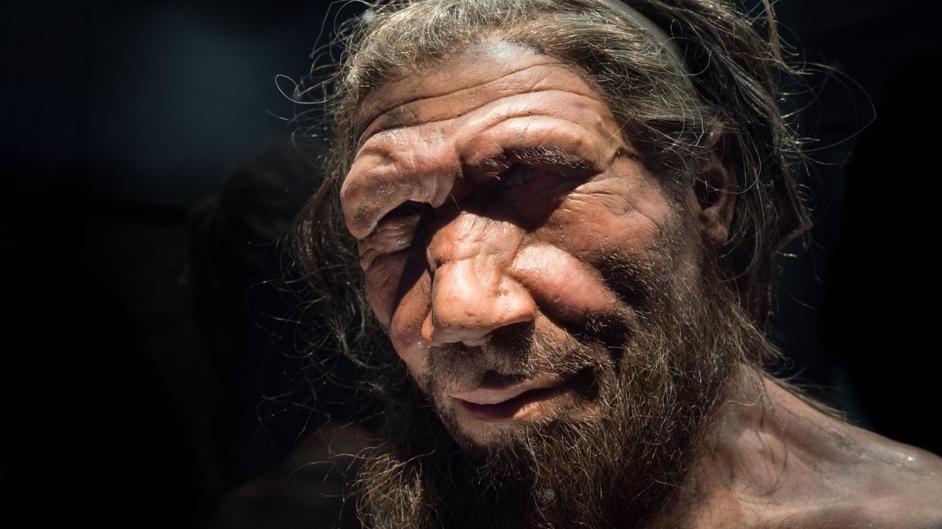 неандерталец википедия фото