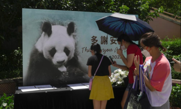 The oldest male panda in the world died in the Hong Kong zoo