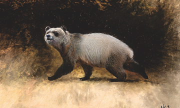 Scientists have discovered a new species of panda. These bears lived in Europe six million years ago