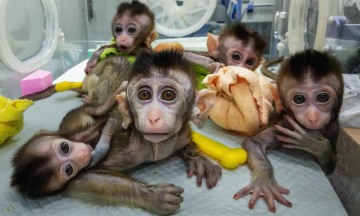 COVID-вакцинація стартувала в 111 країнах світу: зробили понад 279 млн щеплень, - Bloomberg - Цензор.НЕТ 478