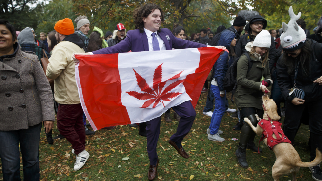 Канада легалізувала марихуану понад два роки тому. Тепер половина молоді — наркомани, чорний ринок зріс удвічі, компанії отримують надприбутки. Ні, ми жартуємо, насправді все навпаки
