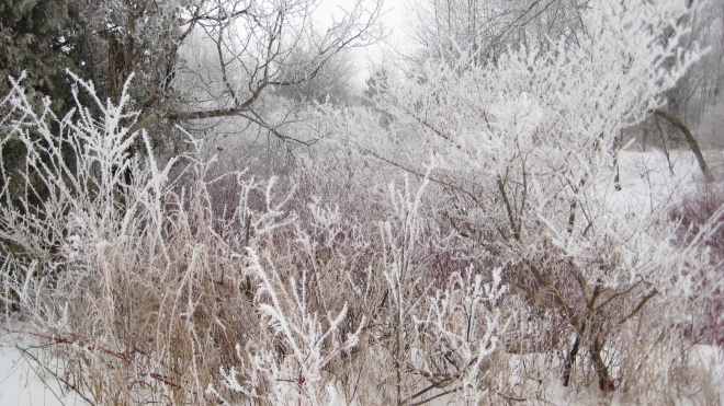 Українські синоптики попереджають про значні снігопади 13 січня. В деяких областях опади можуть призвести до проблем руху транспорту