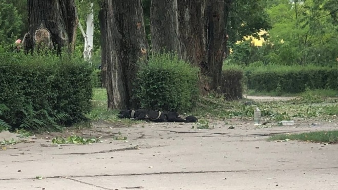 Russian troops shelled Enerhodar. An employee of the Zaporizhzhia NPP died