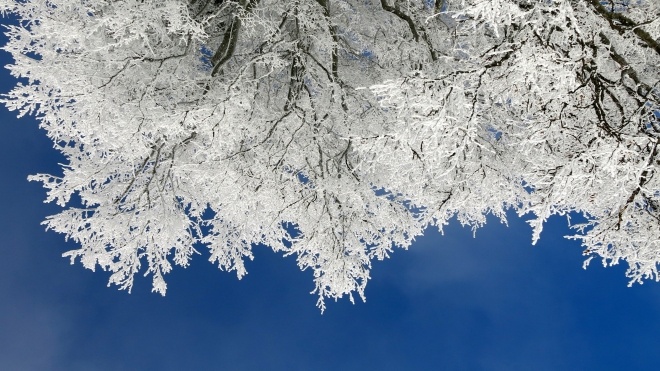 Укргідрометцентр попередив, що в найближчі три доби погода не зміниться: сніг, хуртовини й ожеледиця