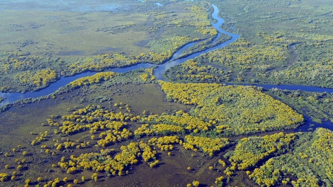 У Південній Америці палає важлива для екосистеми болотиста місцевість Пантанал. Це страшніше за пожежі в дощових лісах