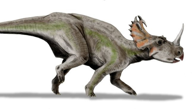 Канадські вчені зʼясували, що динозаври теж могли захворіти на рак. У одного з ящерів підтвердили остеосаркому