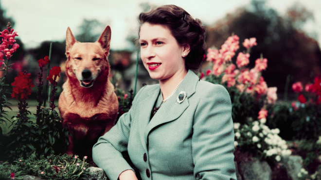 95 лет назад родилась Елизавета II. Вспоминаем лучшие цитаты британской королевы — о мире, отношениях в королевской семье и браке с принцем Филиппом