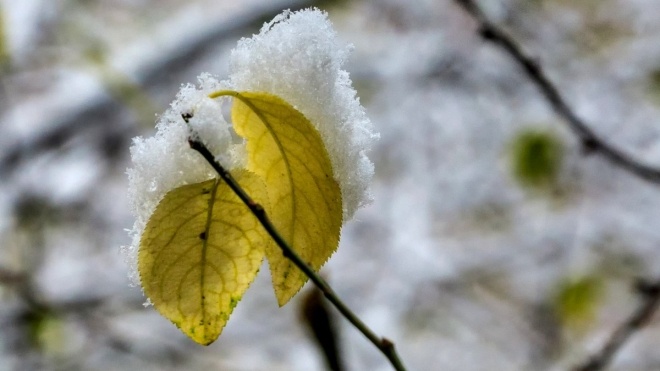 Осень в Украине была самой теплой за 140 лет, но метеорологическая зима еще не наступила