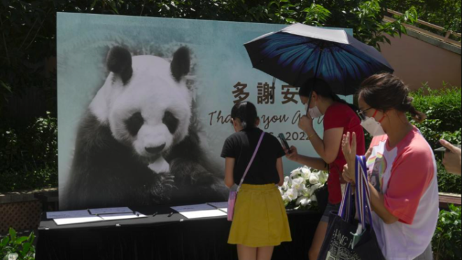 The oldest male panda in the world died in the Hong Kong zoo