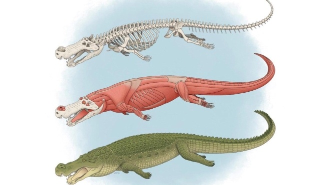 Учені довели, що стародавні крокодили полювали на динозаврів