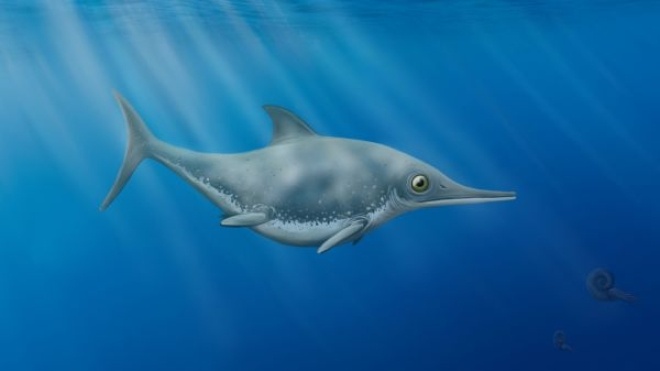 На побережье Англии археолог-любитель нашел остатки нового вида морского дракона