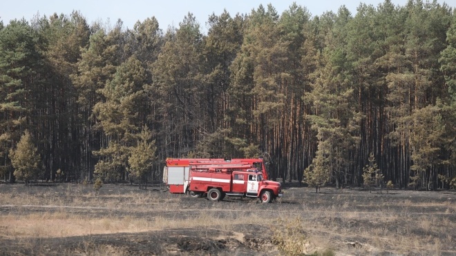 МВС: На лісових пожежах Харківщини та Луганщини відкритого вогню немає. Погорільці отримають компенсації