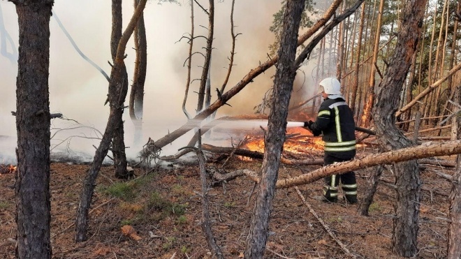 Нардепы приняли постановление о пожарах в Луганской области и требуют уволить главу ОГА