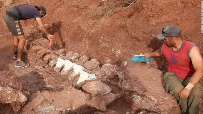 В Аргентине нашли окаменелости динозавра, жившего 98 миллионов лет назад. Он может оказаться крупнейшим животным в истории