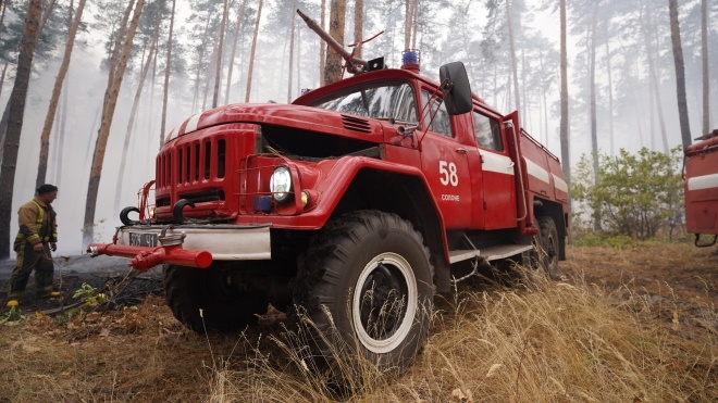 В Луганской области потушили все очаги пожаров — выжжены более 20 тысяч гектаров