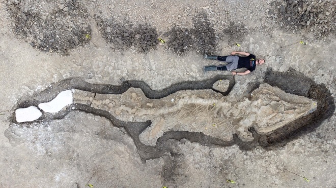 В Великобритании обнаружили окаменелости десятиметрового ихтиозавра, которым не менее 90 млн лет