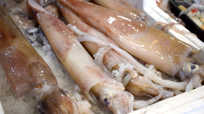 В Китае заявили, что выявили коронавирус на упаковке замороженных кальмаров из России