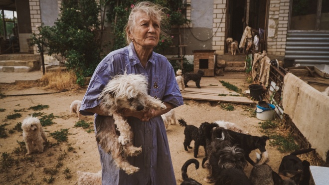 У Миколаєві волонтери тримають сотні покинутих тварин у власних домівках і витрачають на них майже всі свої гроші. Фоторепортаж «Бабеля»