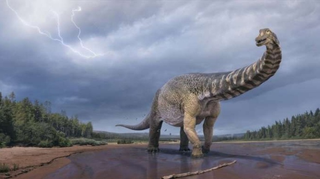 В Австралии открыли новый вид динозавров, который был крупнейшим на континенте